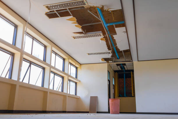  Onawa, IA Water damage restoration Pros