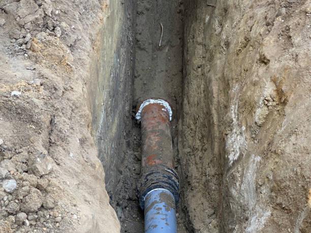 Best Flood restoration services  in Onawa, IA