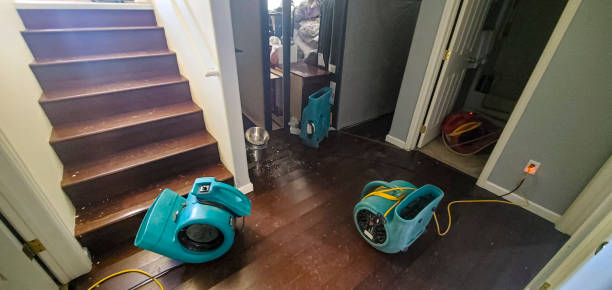 Best Emergency water damage restoration  in Onawa, IA