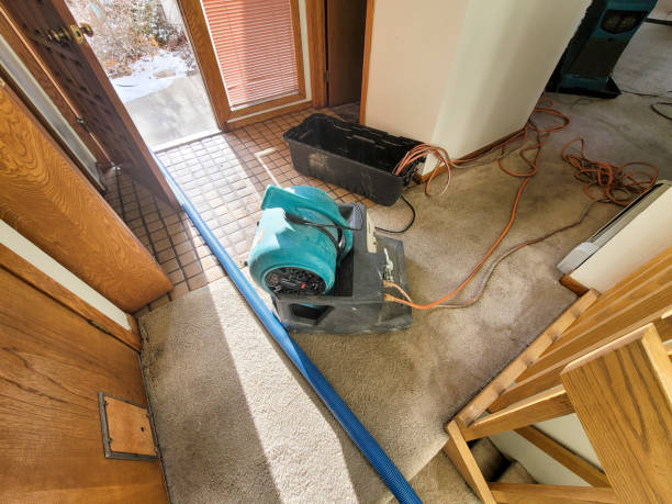 Best Residential water damage restoration  in Onawa, IA