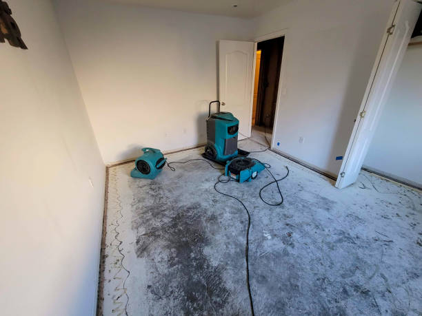Best Commercial water damage restoration  in Onawa, IA