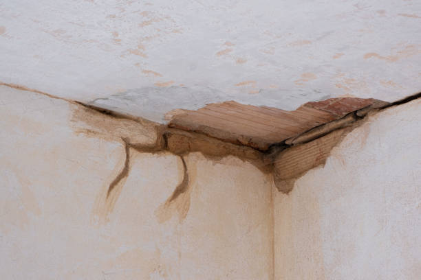 Best Residential water damage restoration  in Onawa, IA