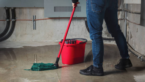 Best Ceiling water damage repair  in Onawa, IA