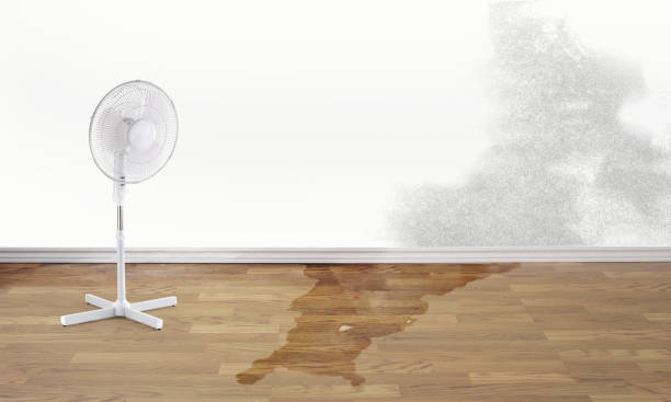 Best 24-hour water damage restoration  in Onawa, IA