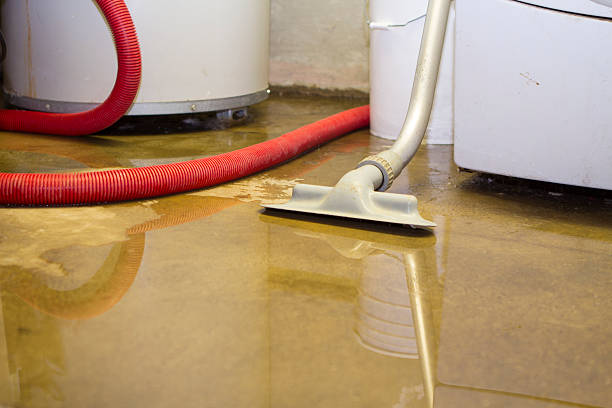 Trusted IA Water damage restoration Experts