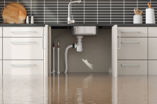 Best Fire Damage Restoration  in Onawa, IA