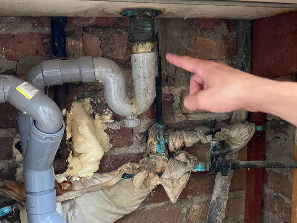 Best Ceiling water damage repair  in Onawa, IA