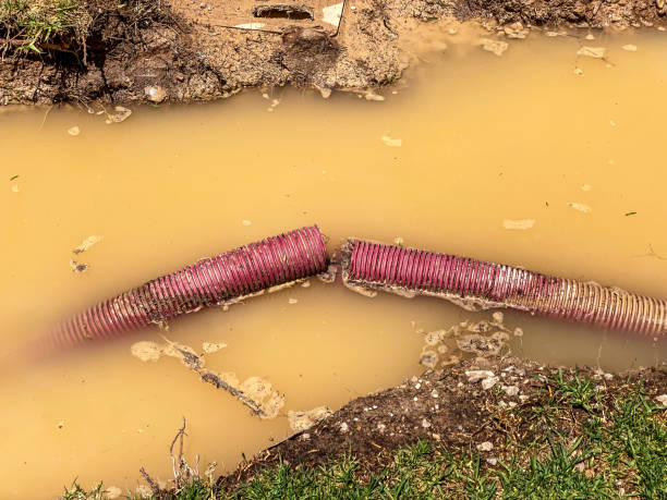 Best Professional water damage repair  in Onawa, IA